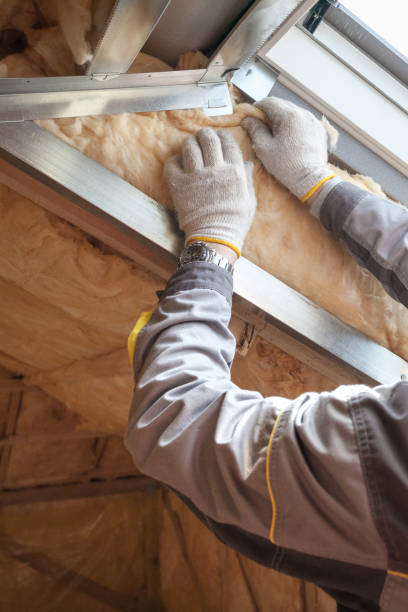 Best Wall Insulation Installation  in Washgton, IN